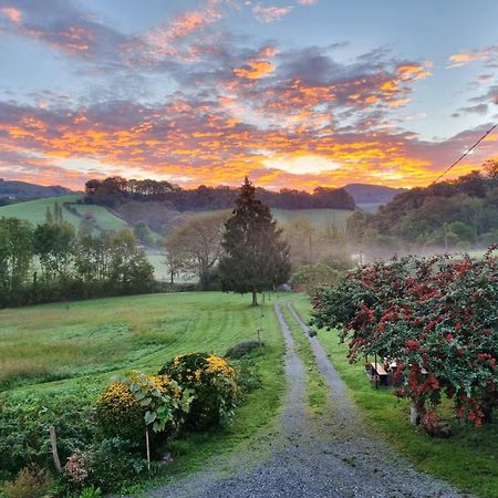 "Chez Naty" Chambres D'Hotes Au Pays-Basque Cheraute Esterno foto