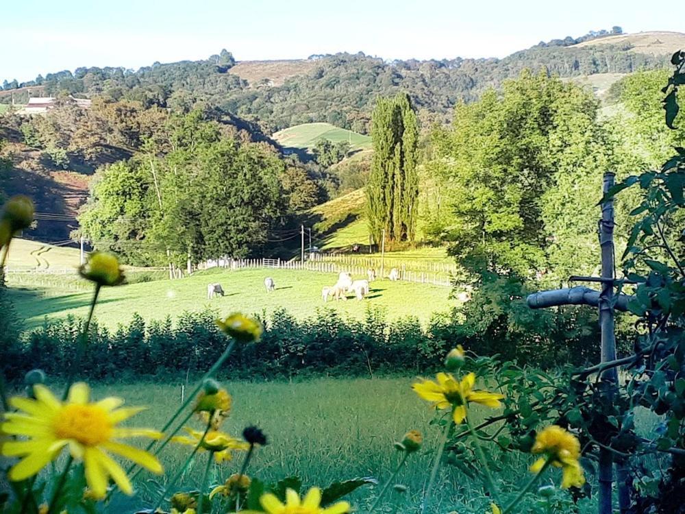 "Chez Naty" Chambres D'Hotes Au Pays-Basque Cheraute Esterno foto